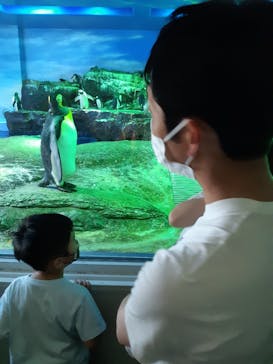 島根県立 しまね海洋館に投稿された画像（2022/5/10）