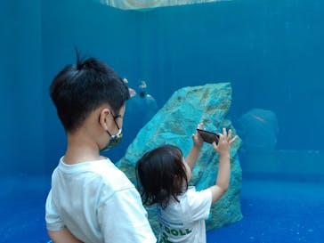 島根県立 しまね海洋館に投稿された画像（2022/5/10）