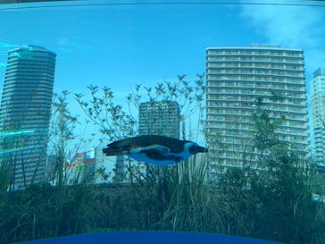 サンシャイン水族館に投稿された画像（2022/5/10）