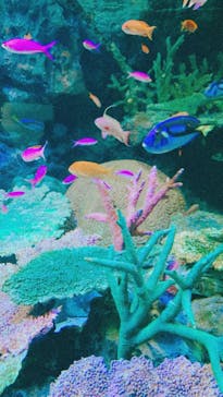 サンシャイン水族館に投稿された画像（2022/5/10）