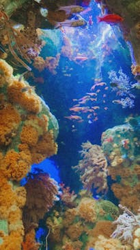 サンシャイン水族館に投稿された画像（2022/5/10）