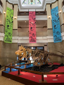 国立科学博物館　特別企画展「ポケモン化石博物館」に投稿された画像（2022/5/10）