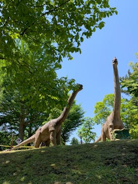 千葉こどもの国 キッズダムに投稿された画像（2022/5/10）