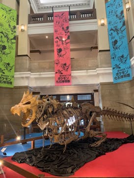 国立科学博物館　特別企画展「ポケモン化石博物館」に投稿された画像（2022/5/10）