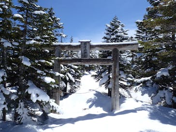 横手山・渋峠スキー場に投稿された画像（2022/5/10）