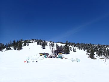 横手山・渋峠スキー場に投稿された画像（2022/5/10）