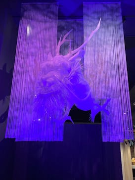 滋賀県立琵琶湖博物館に投稿された画像（2022/5/10）