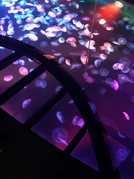 すみだ水族館に投稿された画像（2022/5/10）