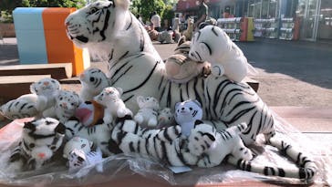 東武動物公園に投稿された画像（2022/5/10）