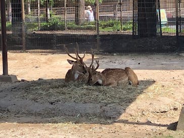 東武動物公園に投稿された画像（2022/5/10）