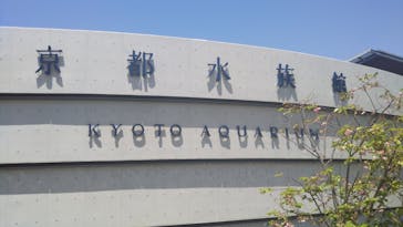 京都水族館に投稿された画像（2022/5/10）