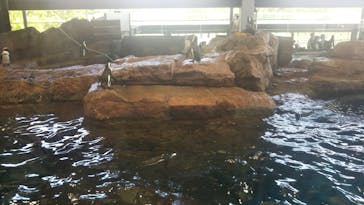 京都水族館に投稿された画像（2022/5/10）