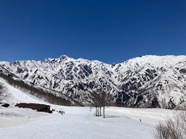 Hakuba47ウィンタースポーツパークに投稿された画像（2022/5/10）