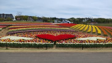 牧歌の里に投稿された画像（2022/5/10）