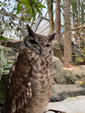 伊豆シャボテン動物公園に投稿された画像（2022/5/10）