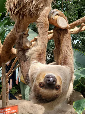 神戸どうぶつ王国に投稿された画像（2022/5/10）