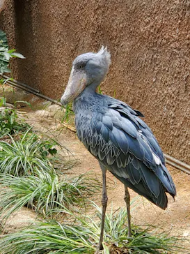 神戸どうぶつ王国に投稿された画像（2022/5/10）