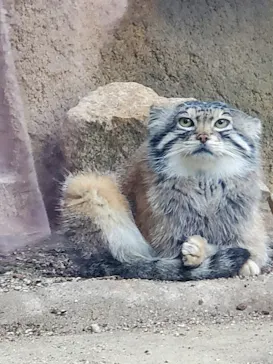 神戸どうぶつ王国に投稿された画像（2022/5/10）