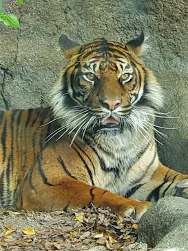 神戸どうぶつ王国に投稿された画像（2022/5/10）