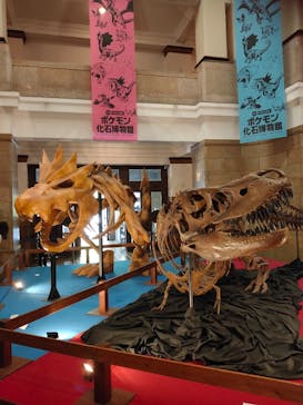 国立科学博物館　特別企画展「ポケモン化石博物館」に投稿された画像（2022/5/10）