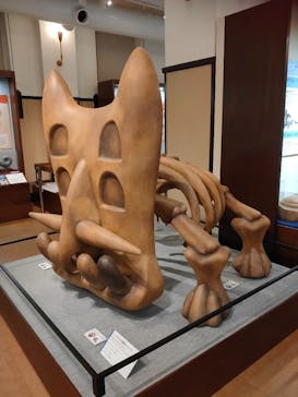 国立科学博物館　特別企画展「ポケモン化石博物館」に投稿された画像（2022/5/10）