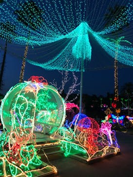 美らヤシパークオキナワ・東南植物楽園に投稿された画像（2022/5/10）