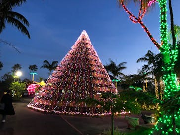 美らヤシパークオキナワ・東南植物楽園に投稿された画像（2022/5/10）