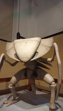 国立科学博物館　特別企画展「ポケモン化石博物館」に投稿された画像（2022/5/10）