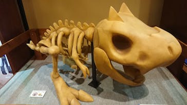 国立科学博物館　特別企画展「ポケモン化石博物館」に投稿された画像（2022/5/10）