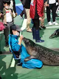 ゼロ距離水族館 伊勢シーパラダイスに投稿された画像（2022/5/10）