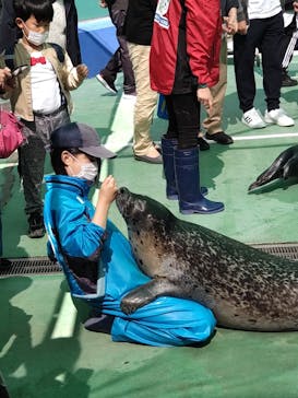 ゼロ距離水族館 伊勢シーパラダイスに投稿された画像（2022/5/10）