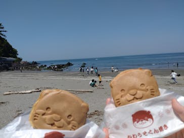 ゼロ距離水族館 伊勢シーパラダイスに投稿された画像（2022/5/10）