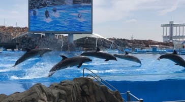 名古屋港水族館に投稿された画像（2022/5/10）