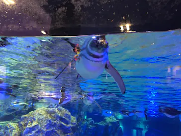 すみだ水族館に投稿された画像（2022/5/10）