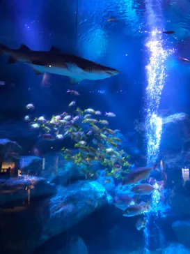 すみだ水族館に投稿された画像（2022/5/10）