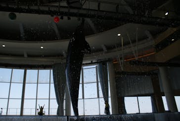 アクアワールド茨城県大洗水族館に投稿された画像（2022/5/10）