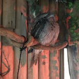 神戸どうぶつ王国に投稿された画像（2022/5/10）