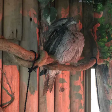 神戸どうぶつ王国に投稿された画像（2022/5/10）