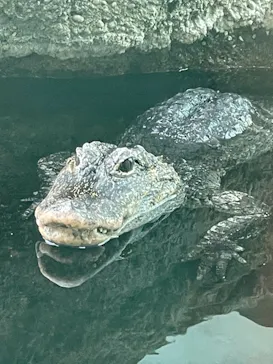 天王寺動物園に投稿された画像（2022/5/10）