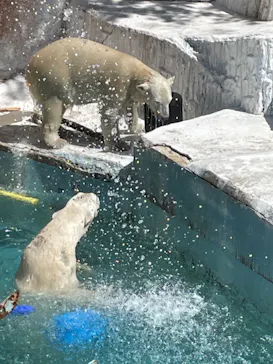 天王寺動物園に投稿された画像（2022/5/10）
