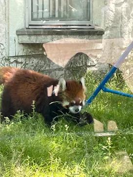 天王寺動物園に投稿された画像（2022/5/10）