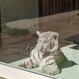 しろとり動物園に投稿された画像（2022/5/4）