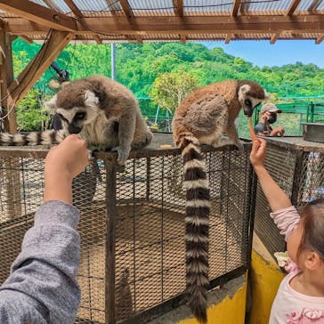 しろとり動物園に投稿された画像（2022/5/4）