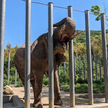 しろとり動物園に投稿された画像（2022/5/4）