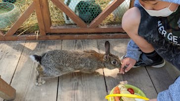 しろとり動物園に投稿された画像（2022/5/4）