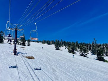 横手山・渋峠スキー場に投稿された画像（2022/5/11）
