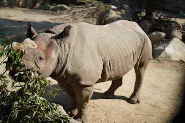 天王寺動物園に投稿された画像（2022/5/11）