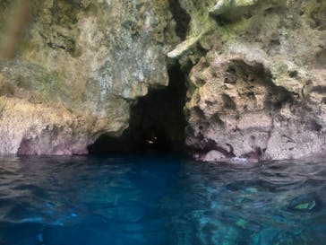 武藤潜水に投稿された画像（2022/5/11）