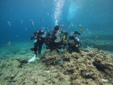 武藤潜水に投稿された画像（2022/5/11）