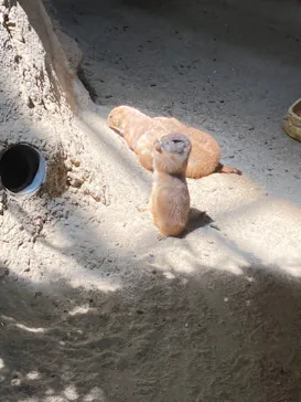 神戸どうぶつ王国に投稿された画像（2022/5/11）